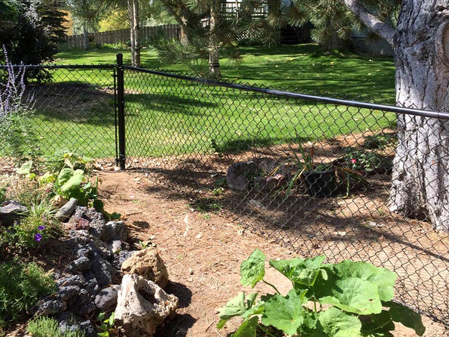chain link fence Cinco Ranch Texas