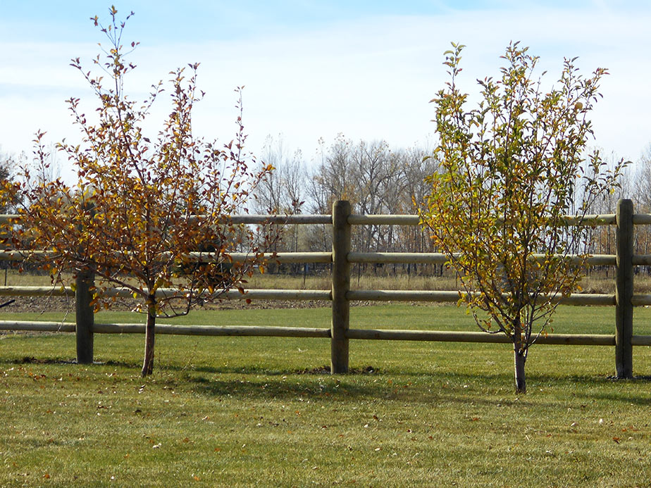 Needville TX Wood Fences