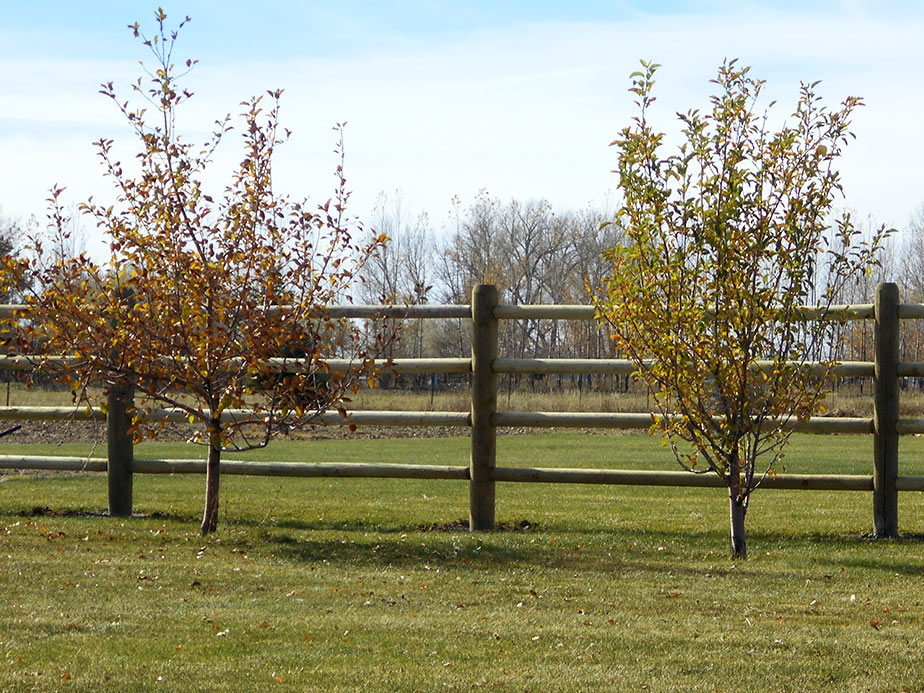 Pearland TX Wood Fences